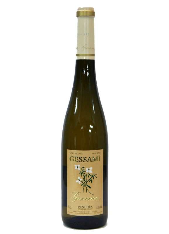  Gessami 2025 - 6 Uds. 