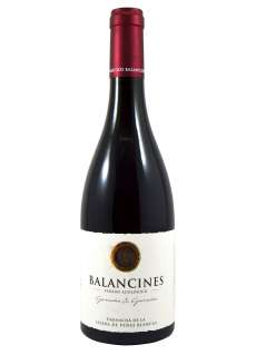 Vörösbor Balancines Garnacha & Garnacha