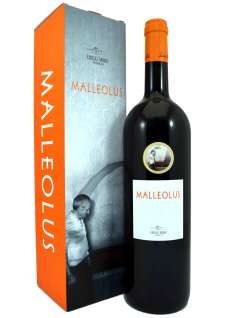 Vörösbor Malleolus (Magnum)